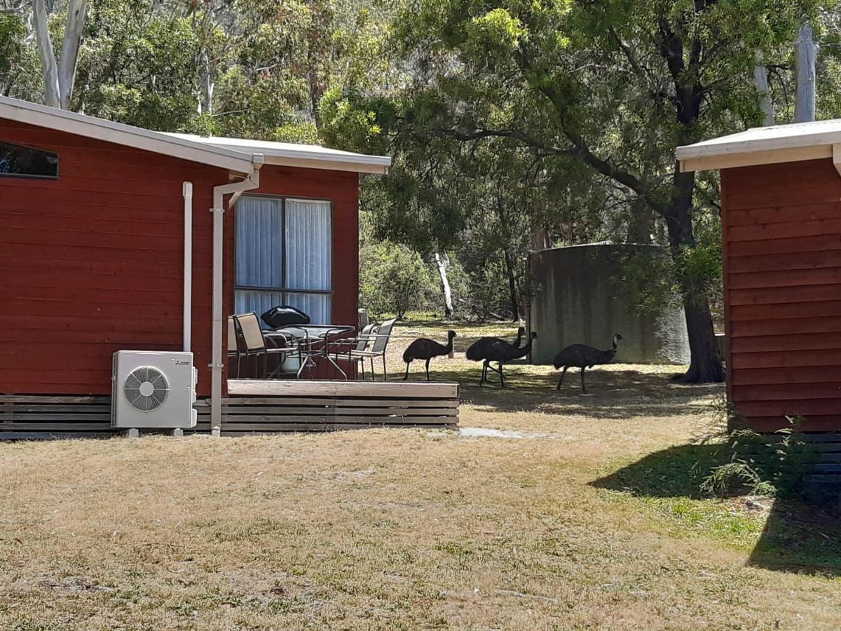 Wonderland Cottages Halls Gap Ngoại thất bức ảnh