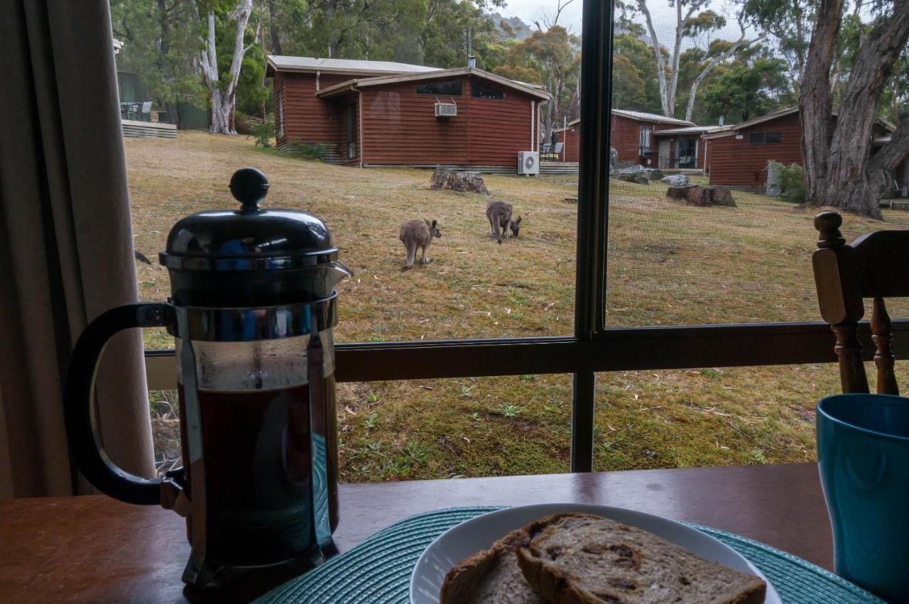 Wonderland Cottages Halls Gap Ngoại thất bức ảnh